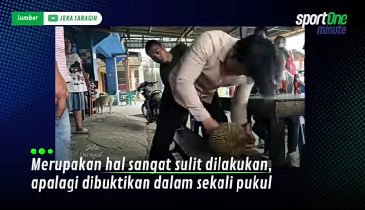 Video Jeka Saragih Ngamuk, Pukul Durian Sampai Tangan "Jebol" Video Jeka Saragih Ngamuk, Pukul Durian Sampai Tangan "Jebol"