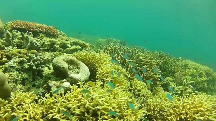 10 Tempat Wisata Instagramable di Semarang yang Kekinian