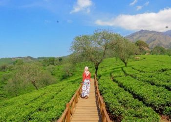 10 Tempat Wisata Instagramable di Malang yang Wajib Dikunjungi 10 Tempat Wisata Instagramable di Malang yang Wajib Dikunjungi