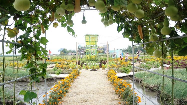 10 Destinasi Wisata di Jombang yang Sangat Hits