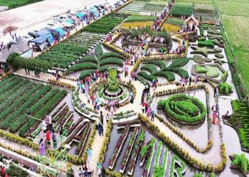 Biaya Pembangunannya Habiskan Dana Miliaran Rupiah, Pasar Tozai Tak Berfungsi 10 Destinasi Wisata di Jombang yang Sangat Hits