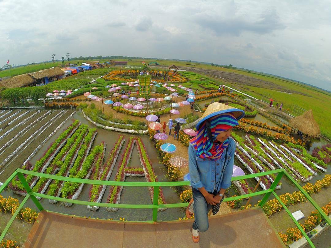 10 Destinasi Wisata di Jombang yang Sangat Hits 10 Destinasi Wisata di Jombang yang Sangat Hits