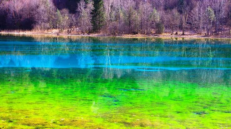 12 Tempat Terindah dengan Pemandangan Air Super Jernih Danau Lima Warna