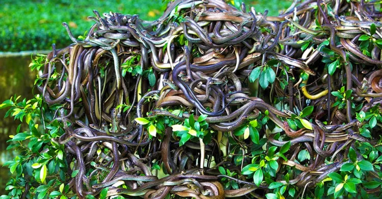 9 Tempat Wisata Paling Berbahaya di Dunia, Salah Satunya Ada di Sumatera Utara