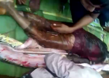 Dilaporkan Hilang, Seorang Nenek Ditemukan Tewas di Dalam Perut Ular Piton Dilaporkan Hilang, Seorang Nenek Ditemukan Tewas di Dalam Perut Ular Piton