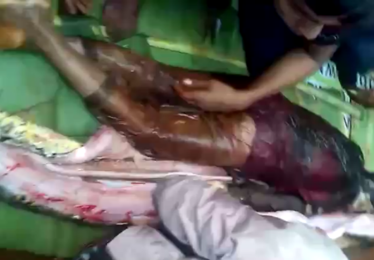 Dilaporkan Hilang, Seorang Nenek Ditemukan Tewas di Dalam Perut Ular Piton Dilaporkan Hilang, Seorang Nenek Ditemukan Tewas di Dalam Perut Ular Piton
