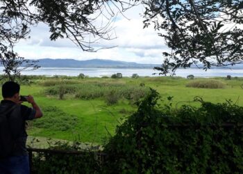 Bank Indonesia Buka-bukaan Soal Pengembangan Pariwisata Danau Toba