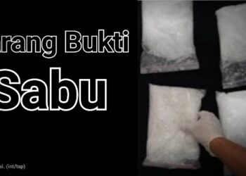 'Gendong' Sabu Senilai Rp4 M, Saud Simanjuntak ditangkap di Jalan Siak