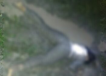 Jasad Seorang Wanita Tanpa Identitas Ditemukan Tewas Tertelungkup di Kebun Sawit Jasad Seorang Wanita Tanpa Identitas Ditemukan Tewas Tertelungkup di Kebun Sawit