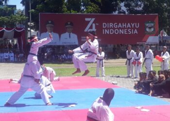 Atraksi Beladiri SBBC Semarakkan HUT ke 74 Kemerdekaan RI di Pematangsiantar