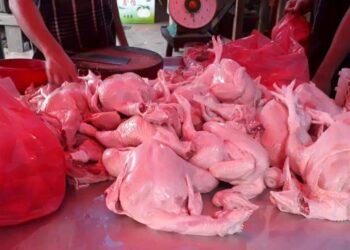 Langka di Siantar-Simalungun, Harga Daging Ayam di Siantar Tembus ke Rp 40 ribu/kg Langka di Siantar-Simalungun, Harga Daging Ayam di Siantar Tembus ke Rp 40 ribu/kg