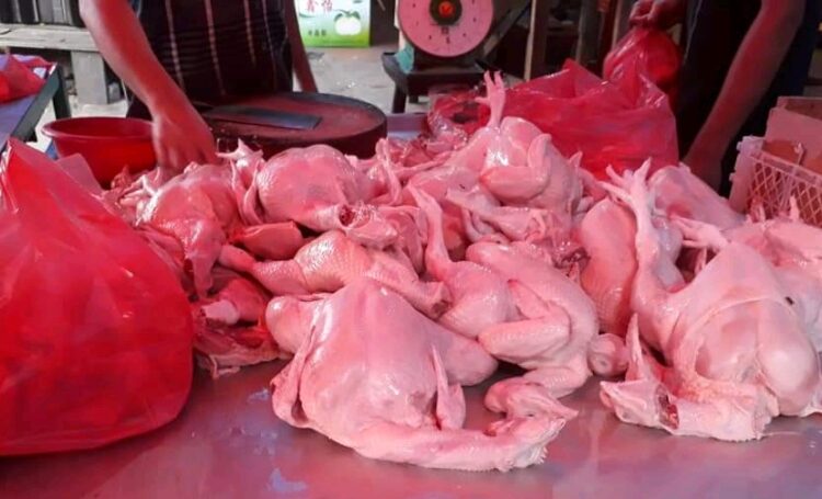 Langka di Siantar-Simalungun, Harga Daging Ayam di Siantar Tembus ke Rp 40 ribu/kg