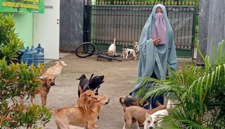 Wanita Bercadar Pemelihara 47 Anjing Akhirnya Mediasi dengan Warga.