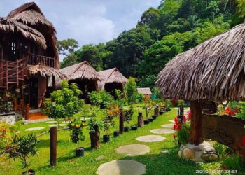 Pesona Wisata Bukit Lawang di Sumatera Utara Tak Ada Habisnya