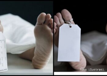 Ditebas Parang Tetangga, Rangkuti Bersaudara Tewas Bersimbah Darah di Mandailing Natal Ditebas Parang Tetangga, Rangkuti Bersaudara Tewas Bersimbah Darah di Mandailing Natal