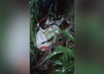 Cucu Menangis di Rumah, Nenek Boru Sagala Ditemukan Tewas di Ladang Jagung