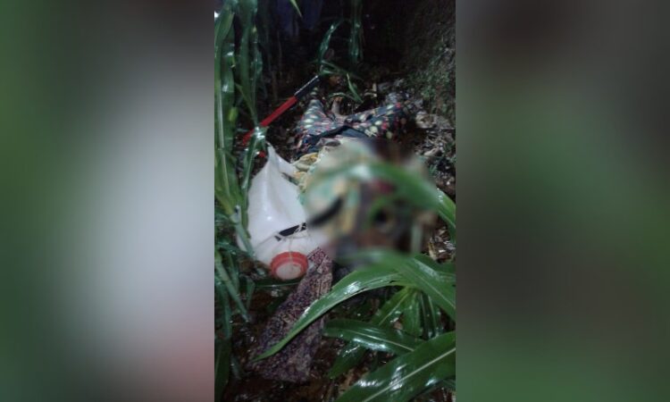 Cucu Menangis di Rumah, Nenek Boru Sagala Ditemukan Tewas di Ladang Jagung