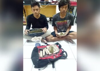 Polres Pematangsiantar Tangkap Dua Tersangka Lahgun Ganja dari Lapo Tuak Polres Pematangsiantar Tangkap Dua Tersangka Lahgun Ganja dari Lapo Tuak