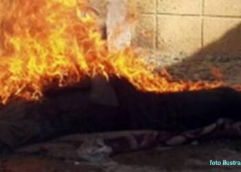 Pelajar SMA Dirampok dan Dibunuh, Jasad Dibakar di Tumpukan Pelepah Sawit Pelajar SMA Dirampok dan Dibunuh, Jasad Dibakar di Tumpukan Pelepah Sawit