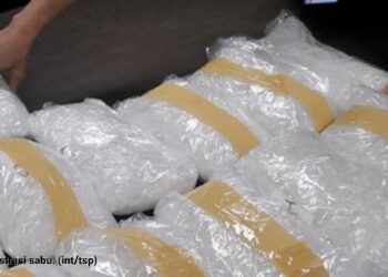 Kaki Tangan Napi LP Tanjung Gusta Penyelundup 25 Kg Sabu Ditangkap BNN