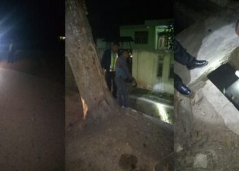 Kecepatan Tinggi di Tikungan, Lamhotma Parulian Sianturi Tewas Menabrak Pohon Kecepatan Tinggi di Tikungan, Lamhotma Parulian Sianturi Tewas Menabrak Pohon