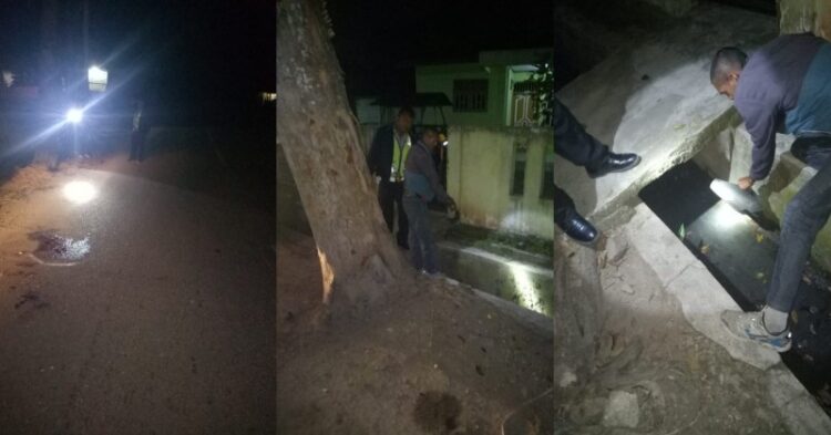 Kecepatan Tinggi di Tikungan, Lamhotma Parulian Sianturi Tewas Menabrak Pohon