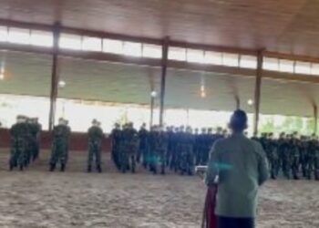 Denwalsus Dibentuk, Apa Tugasnya?