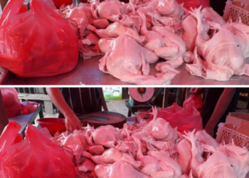 Sidang Kasus Suap Oknum BNN Hino Pasaribu, Pengakuan Saksi Mengejutkan Hakim