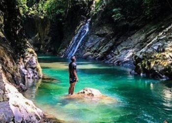 Wisata Liar di Tangkahan