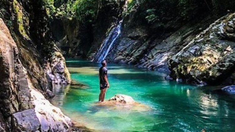 Wisata Liar di Tangkahan