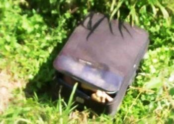 Akhirnya Tertangkap, Pemutilasi Mayat Dalam Koper Gelisah dan Emosi Usai Membunuh