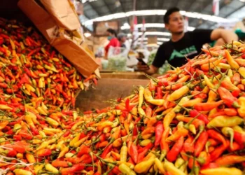 5 Faktor dan Alasan Harga Bahan Pokok Menjadi Lebih Mahal Alasan Harga Bahan Pokok Menjadi Lebih Mahal