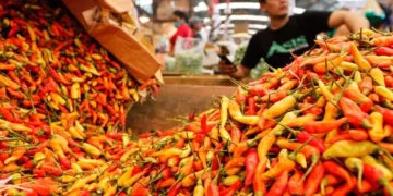 Alasan Harga Bahan Pokok Menjadi Lebih Mahal