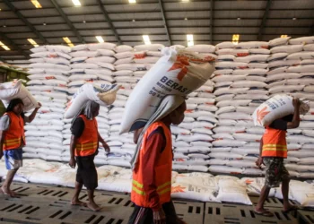 Ini Alasan Kenapa Indonesia Masih Impor Beras Padahal Tanahnya Sangat Subur Kenapa Indonesia Masih Impor Beras Padahal Tanahnya Sangat Subur