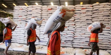 Kenapa Indonesia Masih Impor Beras Padahal Tanahnya Sangat Subur