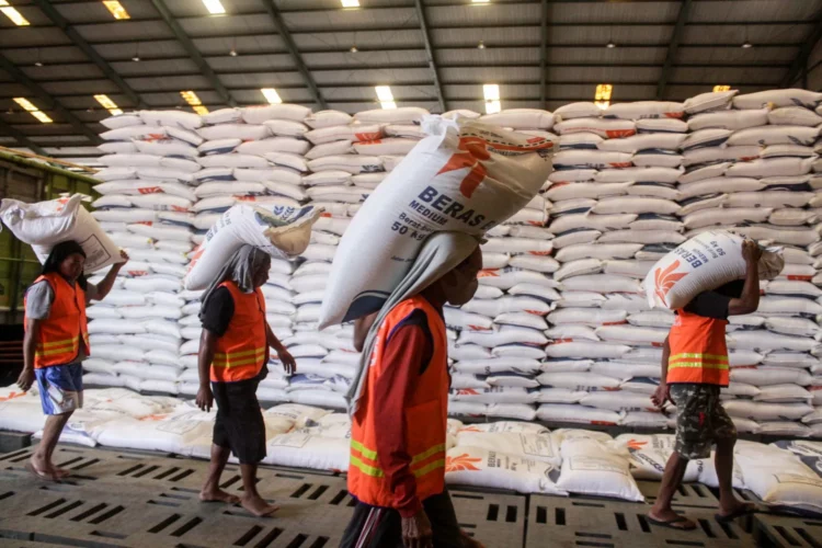 Kenapa Indonesia Masih Impor Beras Padahal Tanahnya Sangat Subur